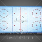 Корт хоккейный из стеклопластика 15*30 м