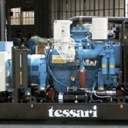 Дизельные генераторы TESSARI PPW