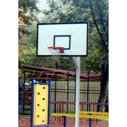 Комплект баскетбольного оборудования для открытой площадки Гимнаст ТФ800-18 фото