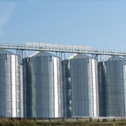 Элеватор для хранения зерна (CHIEF) - для накопления и хранения всех видов зерна (семенного, фуражного и продовольственного назначения) влажностью не более 14%.В силосах используется активное вентилирование. фото