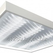 Аварийный офисный светильник TL-ЭКО 24 PR P БАП 24 фото