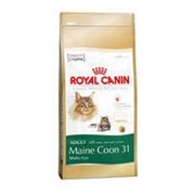 Сухой корм Royal Canin Kitten Maine Coon для котят мейн кунов, 2 кг