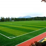 Искусственная трава для футбольных полей фотография