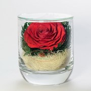 Натуральная роза в стеклянном стакане фото