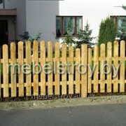 Забор деревянный Восход фото