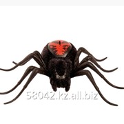Интерактивный паук Wild Pets (свет, движение), черный