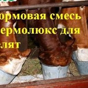 Заменитель Цельного Молока 12% для телят