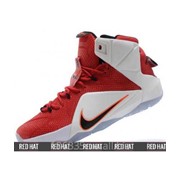 Баскетбольные кроссовки Nike Lebron 12 Heart of a Lion арт. 23168
