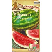 Арбуз Мелания F1 5шт. “Seminis“ (Голландские Семена) фото