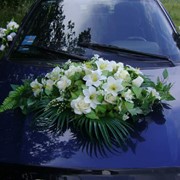 Прокат украшений для свадебных автомобилей. Житомирская область. фото