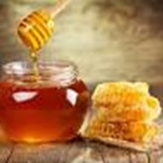 Мед мед фото