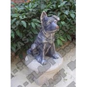 Форма овчарки, собака из бетона, декоративный собачка садовая фотография