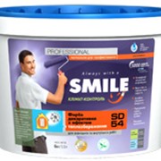 Краска «SMILE®» SD-54 декоративная с эффектом теплосбережения