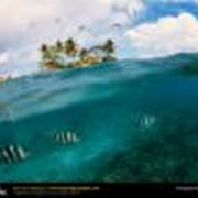 Сейшельские острова фотография