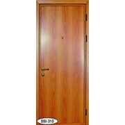 Дверь металлическая DSI-310 фото