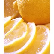 Лимоны оптом, цитрусовые оптом Украина, Лимон (Citrus limon) фото