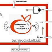 Проектирование и строительство современных овощехранилищ фотография