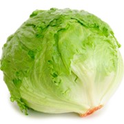 Салат-латук. Чищенные вакуумированные овощи. Вакуумированные овощи свежие фото