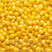 Производство, сбор , переработка и реализация подсолнечника, кукурузы, пшеницы фуражной. фото