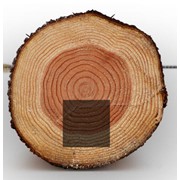 Брус деревянный сосновый, любой размер длиной 4,5м и 6м. Товар от производителя! (Брус стандартный чистообрезной).