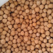 CHICKPEAS фото