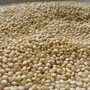 Зерно Киноа 250 грамм (Quinoa, квиноа, лебеда, кинва) фото