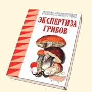 Экспертиза грибов фото