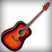 Акустическая гитара Naranda DG220VS фото