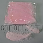 Перья розовые 5-15 см 100 шт 3661 фотография