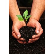 Средства защиты растений