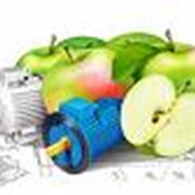 Электродвигатели однофазные конденсаторные асинхронные фото