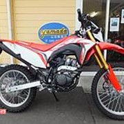 Мотоцикл кроссовый Honda CRF150L Новый Эндуро Мотокросс Dual-спорт внедорожный пробег 0 км белый красный фото