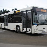 Автобус городской МАЗ 203085 фотография