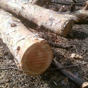 Сухие дрова, распил дров, Симферополь