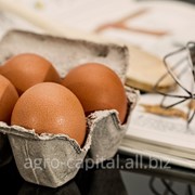 Яйцо куриное С2 фотография