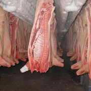 Мясо и субпродукты свиные фотография