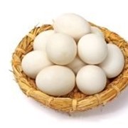 Сезон 2017. Инкубационные яйца гуся в Башкортостане, Итальянская порода фото