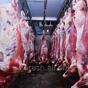Говяжее мясо (промзабой) большими партиями фотография