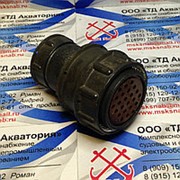 2РМДТ30КПЭ24Г5А1ЛВ Розетка кабельная фото