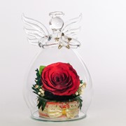 Роза в стекле tm FIORA AnS-Rr 34619 фото