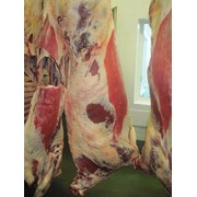 Мясо-говядина 1 категории охлажденное в четвертинах с вырезкой (коровы) фото