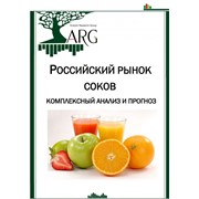 Маркетинговое исследование: Российский рынок соков: комплексный анализ и прогноз фото