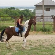 Катание на лошадях,Одесса фото