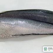 We can offer fresh frozen Hake/Хек Merluccius Productus from USA, Canada фото