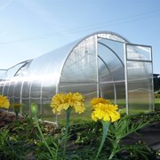 Теплицы Агро, Титан, Сибирская, Престиж, Импласт . Труба оцинкованная 20х20 и 40х20. шаг 1 м и усиленный каркас с шагом 67. Доставка -1630-151-11 фото