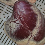 Сердце говяжье, Сердце говяжье цена в Украине