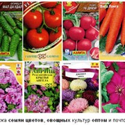 Семена однолетних и многолетних овощей и цветов: зелень разная огородняя, овощей в ассортименте, цветов, однолетних и многолетних