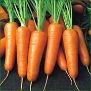 Морковь отличного качества с холодильника фото