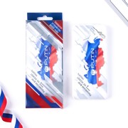 Зарядное устройство 'Российский флаг', 8000мА,модель PB-20, 14,5 х 6,9 см фото