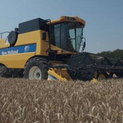 Уборка зерновых комбайнами New Holland фото